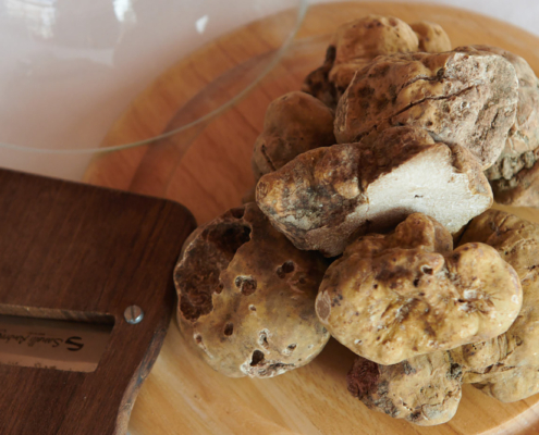 Tartufo bianco